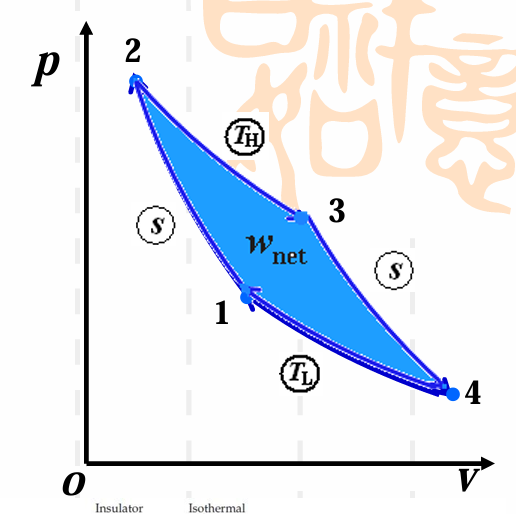 无法显示